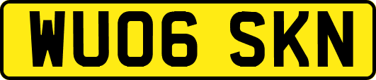 WU06SKN