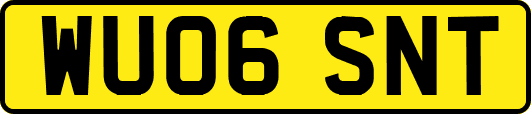 WU06SNT