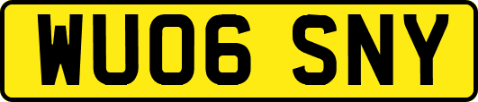 WU06SNY