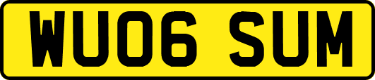 WU06SUM