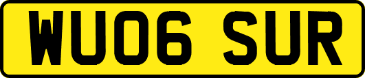 WU06SUR