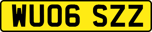 WU06SZZ