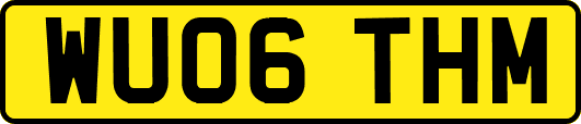 WU06THM