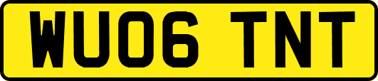 WU06TNT