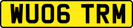 WU06TRM