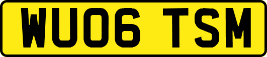 WU06TSM