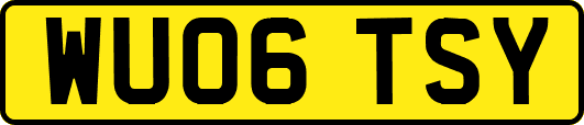 WU06TSY