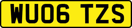 WU06TZS