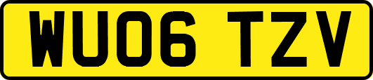 WU06TZV