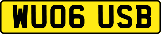 WU06USB