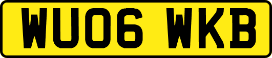 WU06WKB