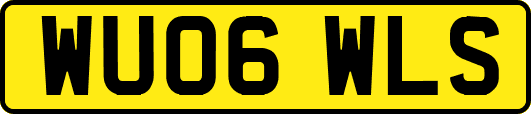 WU06WLS