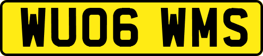 WU06WMS