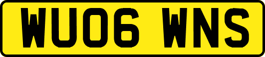 WU06WNS