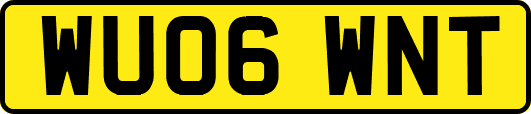WU06WNT