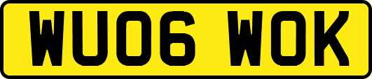 WU06WOK