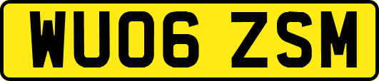 WU06ZSM