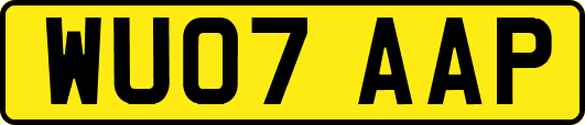 WU07AAP