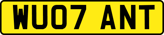 WU07ANT