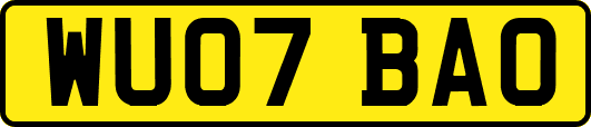WU07BAO
