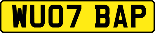 WU07BAP