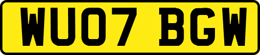 WU07BGW