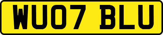 WU07BLU
