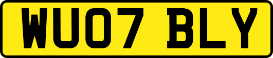WU07BLY