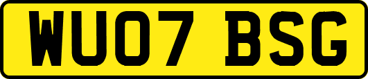 WU07BSG
