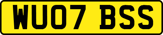 WU07BSS