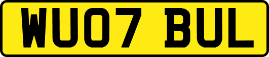 WU07BUL