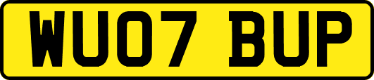 WU07BUP