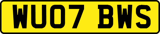 WU07BWS