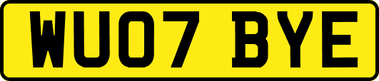 WU07BYE