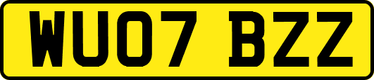 WU07BZZ