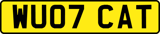 WU07CAT