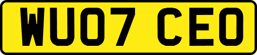 WU07CEO
