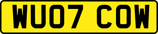 WU07COW