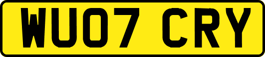 WU07CRY