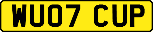 WU07CUP