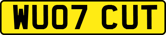 WU07CUT