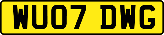 WU07DWG