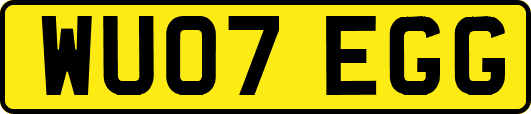 WU07EGG