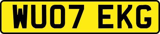 WU07EKG