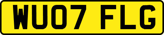 WU07FLG