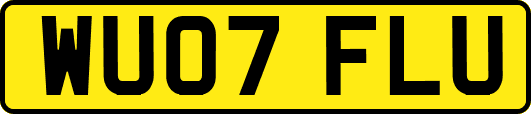 WU07FLU
