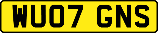 WU07GNS