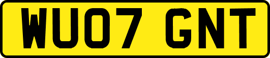 WU07GNT