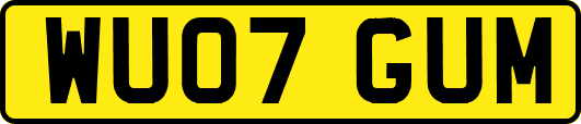 WU07GUM
