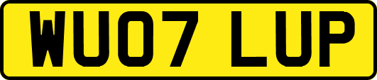 WU07LUP
